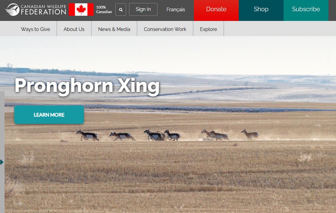 Canadian Wildlife Federation Pronghorn Xing webpage