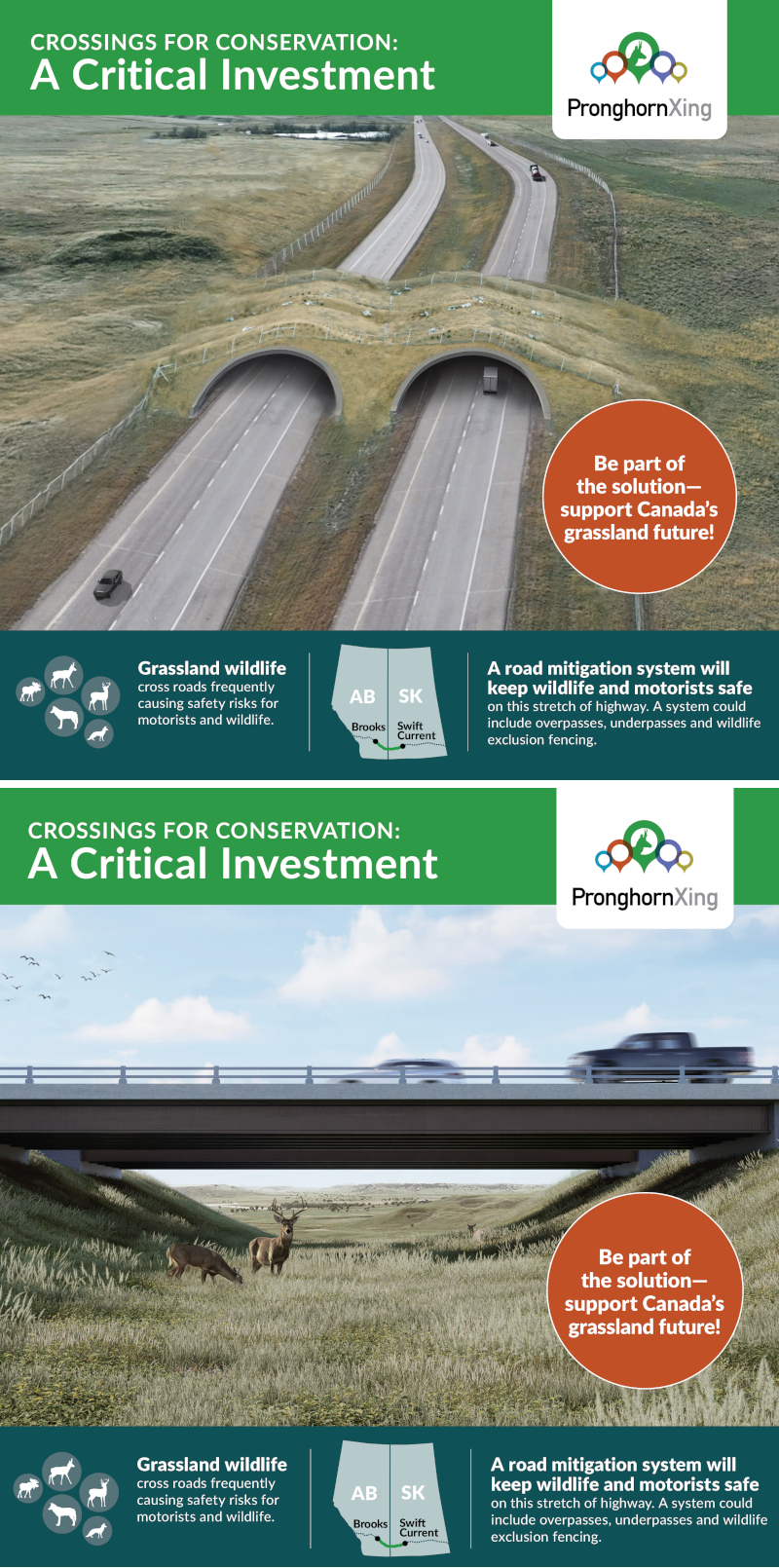 Crossings for Conservation: A Critical Investment cover