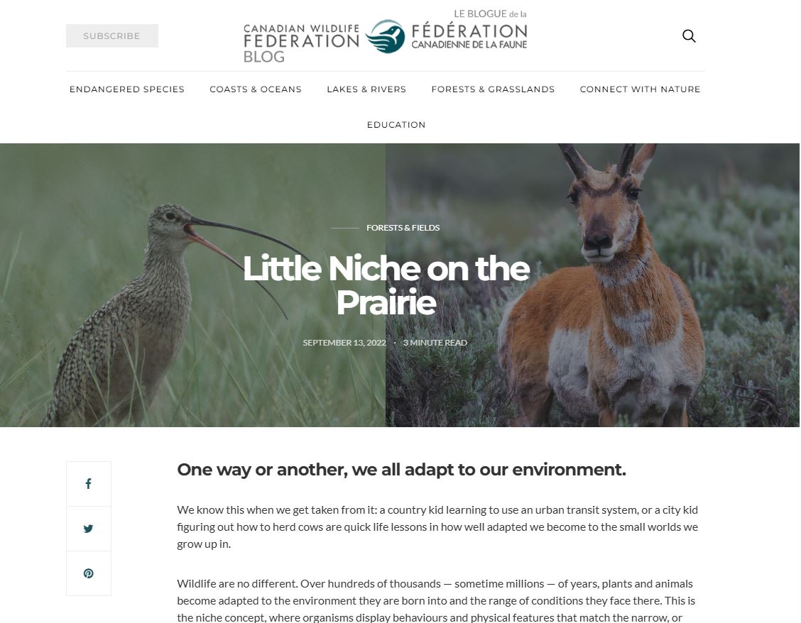 Little Nice on the Prairie, 2022 thumbnail